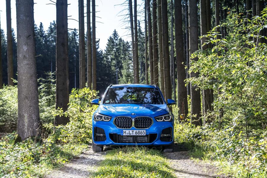 BMW X1 xDrive25i M Sport (F48) 2019 года  (WW) (фото 50 из 112)